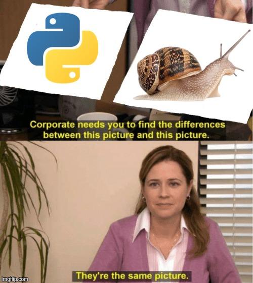 python-meme